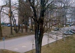 Oprava kanalizace, další parkovací místa a nová zeleň